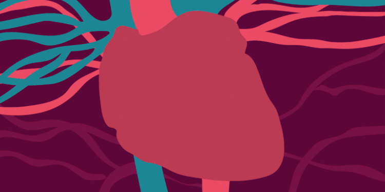 Ne Kadar Çok Kalp Hastalığı Hakkında Ne Biliyorsunuz?